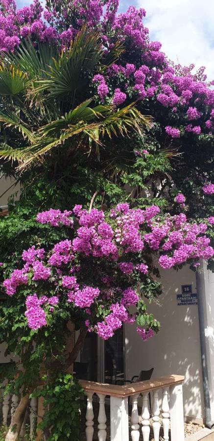Apartments Kore فير المظهر الخارجي الصورة